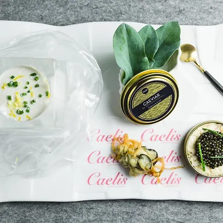 Hotel Ohla
