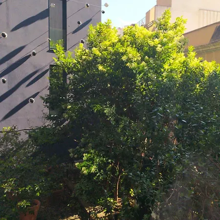 Ohla Hotel 5*